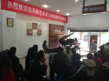 永乐国际F66艺术家王雁教授大师班--桂林悦之声琴行活动报道