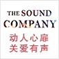 永乐国际F66参展Music China 2013 